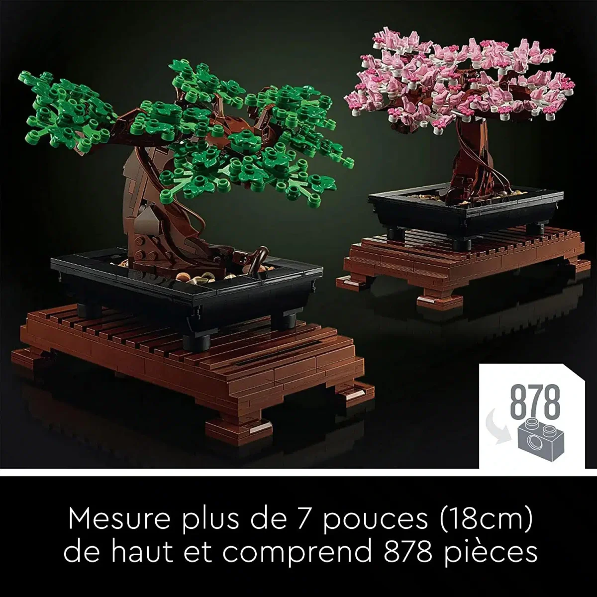 Bonsaï (10281) – Image 4